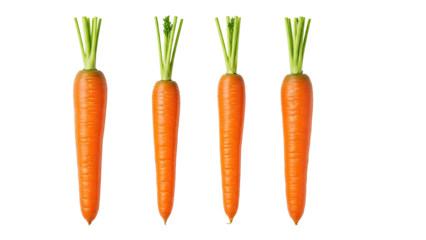 Four vibrant orange carrots with green tops standing upright.