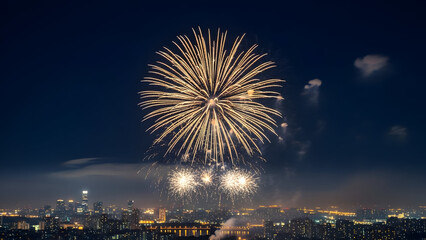 fireworks in the night sky