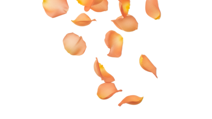 Delicate flower petals falling gently through the air captured from a high viewpoint