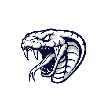 Fierce graphic illustration of an angry cobra snake head with sharp fangs and open mouth, designed as a powerful mascot or emblem conveying danger and untamed wildness