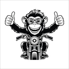 Cheerful chimpanzee riding a motorcycle with thumbs up Keywords: chimpanzee, monkey, motorcycle