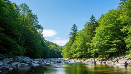 Serene river flowing through lush green forest