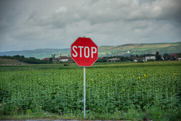 a red, octagonal stop sign in a rural area. A stop sign is a traffic control device that requires drivers to come to a complete stop before proceeding, ensuring the way is clear of other vehicles and 