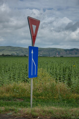 combination of two traffic signs in Romania: Red and White Triangle - Give Way and Blue Rectangle with Arrows provides information about the road layout ahead.