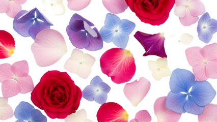 A vibrant floral arrangement with Hydrangea, rose, and other flowers scattered in the air.