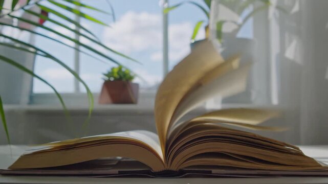 An Open Book Lies Near A Window As A Soft Breeze Turns Its Pages Naturally. Sunlight Falls On The Plants And Table Creating A Warm, Quiet, And Comforting Indoor Reading Moment.
