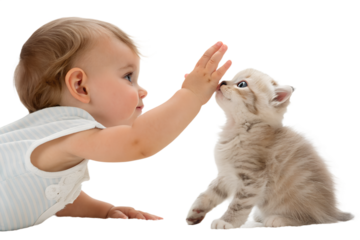 Curious baby reaching hands toward a small kitten. Natural and gentle interaction between infant and kitten, isolated on transparent background.