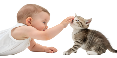 Curious baby reaching hands toward a small kitten. Natural and gentle interaction between infant and kitten, isolated on transparent background.