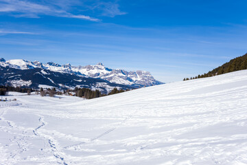 Fototapeta premium A gentle snow-covered hillside leads towards the dramatic peaks of the Aravis range under a vibrant blue sky, with forest edges and scattered tracks adding texture to the serene winter landscape.