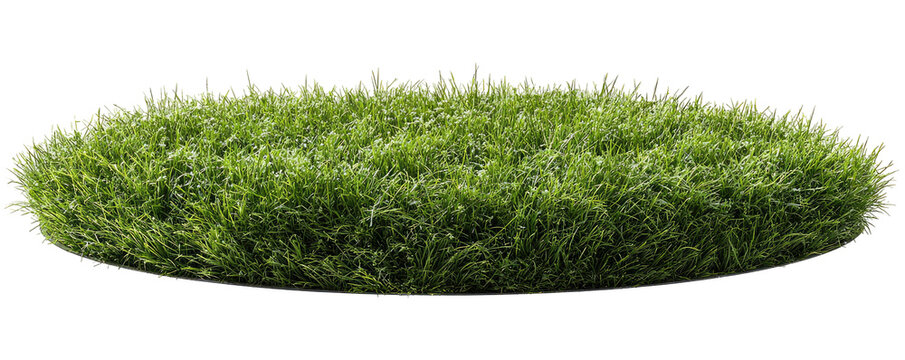Circular patch of vibrant green grass
