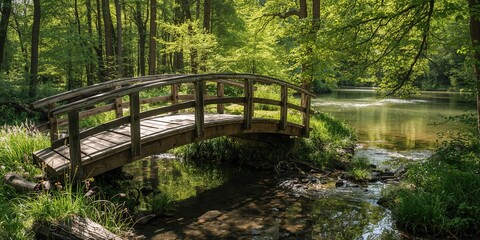 Fototapeta premium Rustic bridge over water in a bavarian forest during summer, ideal for travel and nature scenes