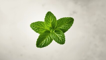 Close-up of fresh mint leaves highlighting their health benefits and natural green aesthetic in an agricultural setting