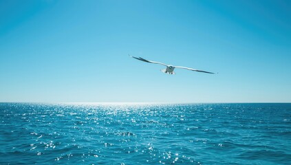 Seagull in flight over the water, illustrating wildlife activity, World Wildlife Day