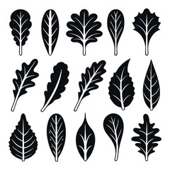 Silhouette collection of salad leaves and organic greens, vector spinach kale and lettuce foliage icons isolated on white background