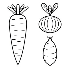 Root vegetables line art icon set, organic carrot onion and radish outline illustrations isolated on white background
