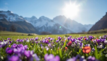 Colorful blooming garden with lush greenery near snowy mountain peaks under bright spring sun, suitable for nature backgrounds
