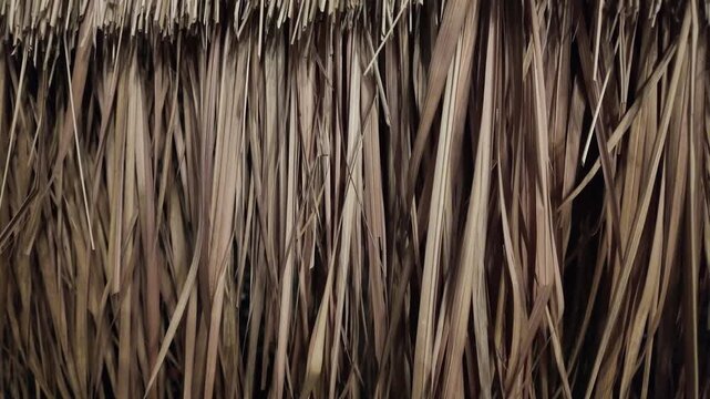 Natural Dried Grass Texture Showcasing Earthy Tones and Organic Strands for Rustic Decoration in Various Design Projects, Evoking Simplicity and Charm