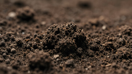 Soil Structure