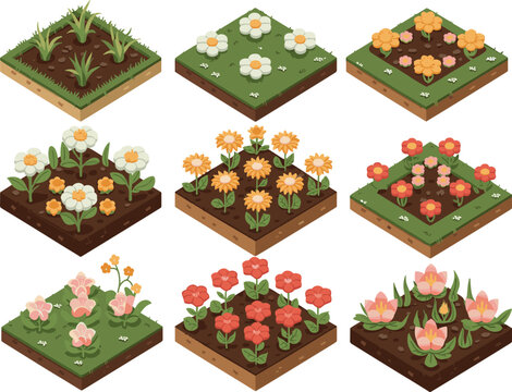 Isometric flower garden growth stages set with grass soil and blooming plants for game assets farming nature illustration