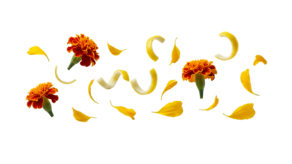 Vibrant marigold flowers and petals floating gently through the air in a serene environment viewed from directly above