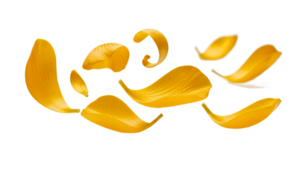 Yellow flower petals floating in the air against a white background