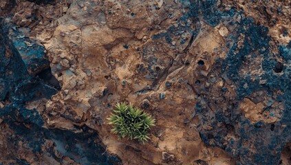 Fototapeta premium Colorful natural rock surface with earthy browns and blues, accented by vibrant green growth for textured backgrounds or layouts