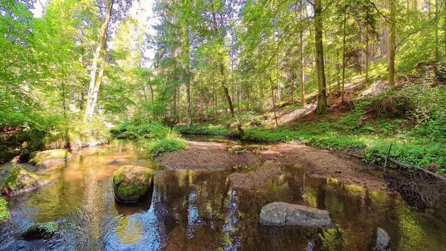 Filmmaterial des  H&ouml;llbach im Naturschutzgebiet H&ouml;llbachtal bei dem Rundwanderweg in Rettenbach bei Falkenstein in Bayern, Deutschland