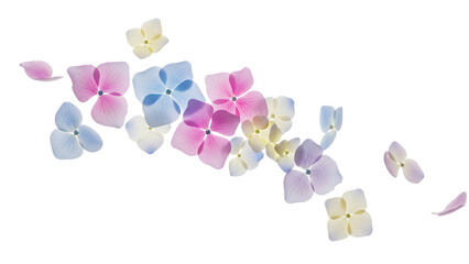 Pastel Hydrangea Petals Falling Through the Air in a Serene Environment