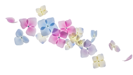 Pastel Hydrangea Petals Falling Through the Air in a Serene Environment