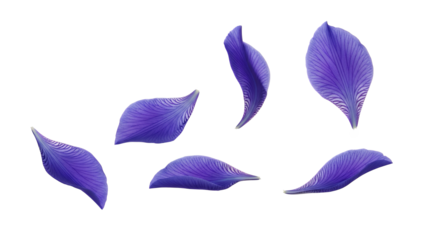 A collection of delicate blue iris petals floating gently in the air against a white background from a close-up viewpoint