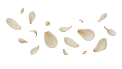 Floating white petals gracefully scatter across a clean white background, creating a serene and elegant visual