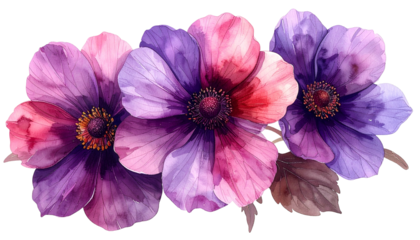 Watercolor depiction of three anemone-like blossoms in pink and purple hues
