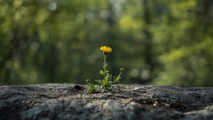 Single wildflower amidst untamed nature, highlighting biodiversity and environmental preservation, Earth Day