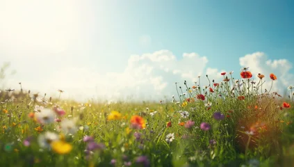 Plexiglas schilderij Zorgcentrum Sunlit spring meadow with flowering plants and blue sky, suited for seasonal backgrounds and editorial headers, World Earth Day  © vxnaghiyev