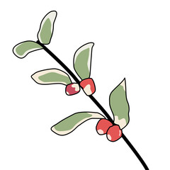 A green leafy branch with red berries