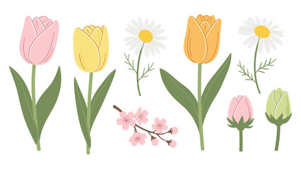 Fototapeta premium Pastel springtime blooms with tulips and daisies