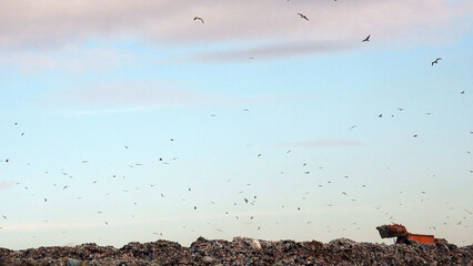 Garbage dump with large landfill and waste truck operating on trash heap, illustrating pollution, waste management, and environmental impact.