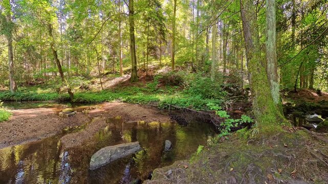Filmmaterial des  H&ouml;llbach im Naturschutzgebiet H&ouml;llbachtal bei dem Rundwanderweg in Rettenbach bei Falkenstein in Bayern, Deutschland
