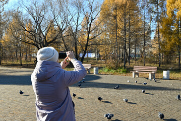 Person taking pictures of birds in a park during autumn with yellow trees in the background