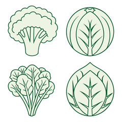 Leafy green vegetables line art icons, organic broccoli cabbage and spinach illustrations, fresh garden produce icons