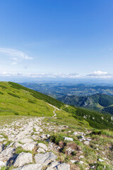 Naklejka premium Rocky Mountain Path Leading to a Green Valley
