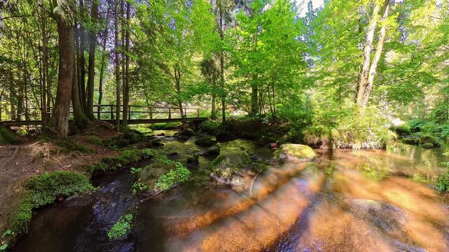Filmmaterial des  H&ouml;llbach im Naturschutzgebiet H&ouml;llbachtal bei dem Rundwanderweg in Rettenbach bei Falkenstein in Bayern, Deutschland