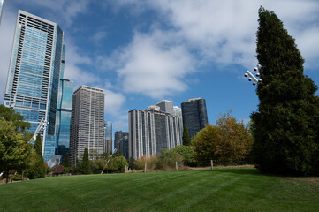 downtown chicago view of the center