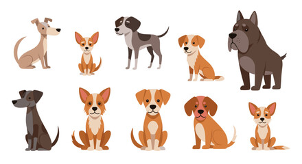 Fototapeta premium Collection of diverse dog breeds in various sizes and colors illustrated on a white background for pet care and animal lovers.