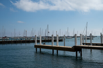 boats in the marina