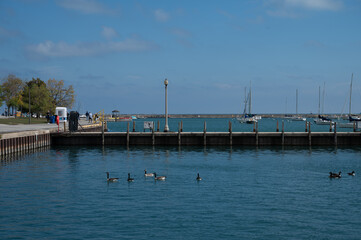 fishing boats in the harbor