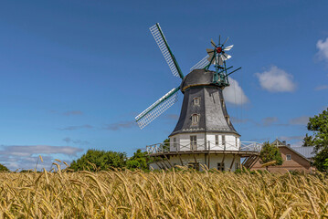 Borgsumer Windm&uuml;hle mit Getreidefeld im Vordergrund auf der Nordseeinsel F&ouml;hr	