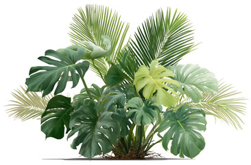 Lush tropical plant cluster.  Large, variegated leaves in shades of green and lime.  Dense foliage, various textures and shapes.  Natural, vibrant