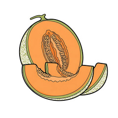 Obraz premium Cantaloupe melon with slices and seeds