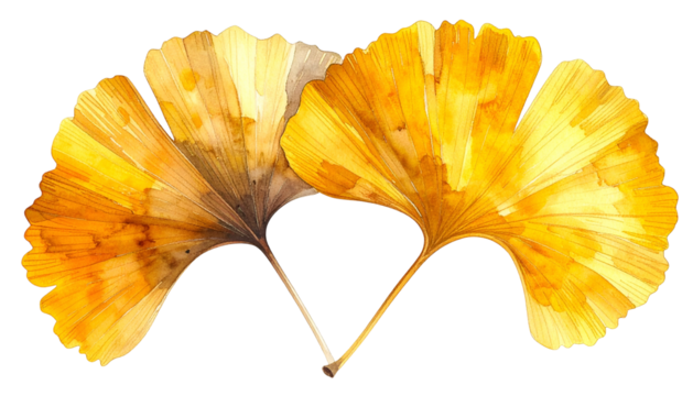 Two overlapping yellow ginkgo leaves, watercolor style, against a black background - Powered by Adobe